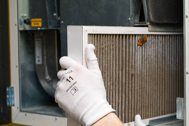 Best Air Duct Cleaning Near Me  in Stoughton, WI