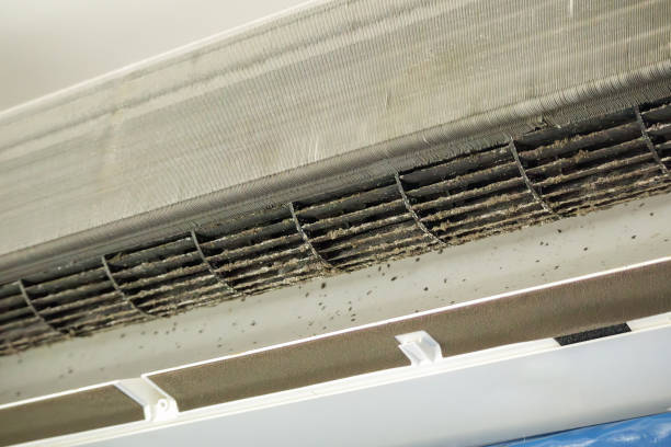 Best Air Duct Cleaning Near Me in Stoughton, WI